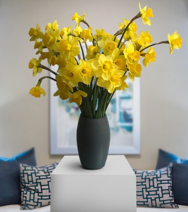Natural Yellow Daffodils