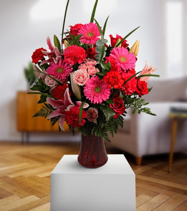 More Than Pink Beautiful Gerberas