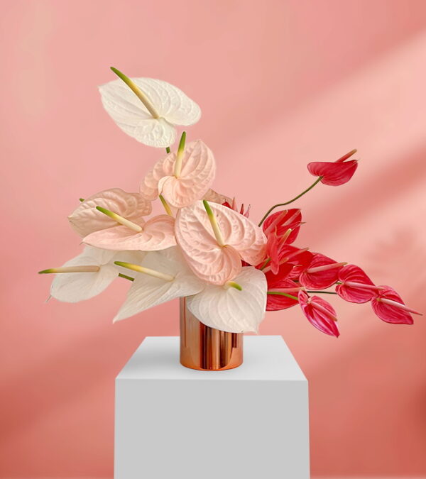 Pink and Red Anthuriums