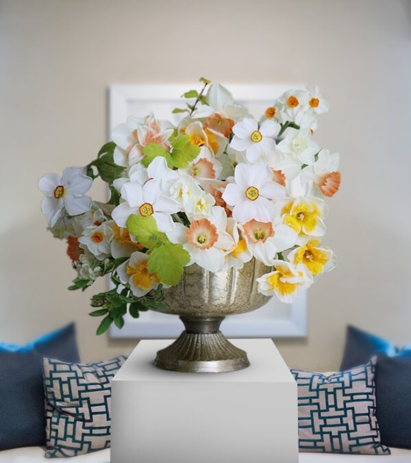 White Daffodils With Green Leafs