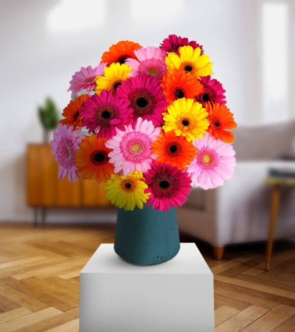 Yellow and Red Lovely Gerberas