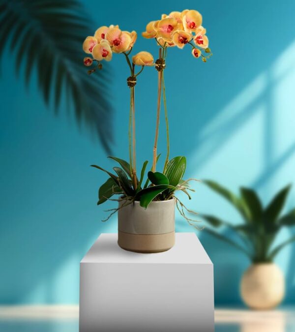 Mango Orchid Petals With Vase