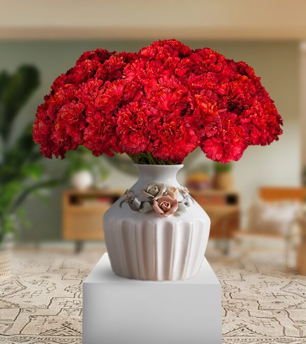 Big Red Carnation With Vase