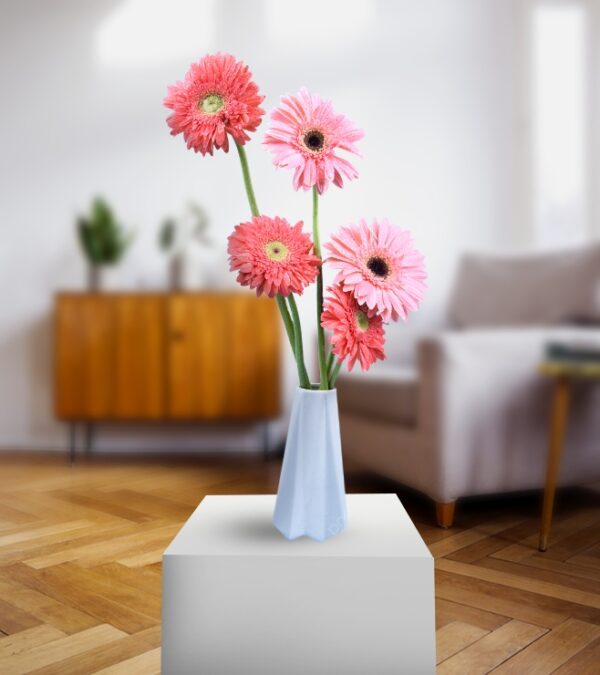 Pink and Red Gerberas
