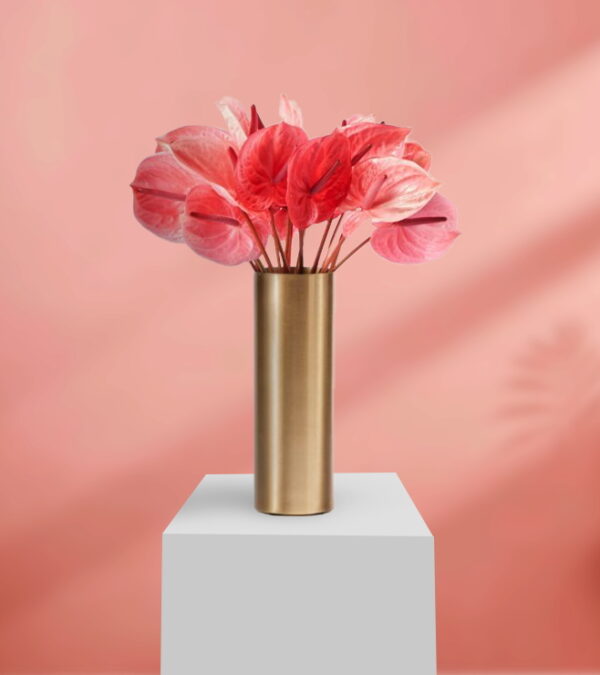 Lovely Pink Anthuriums