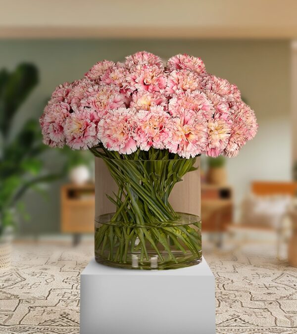 Light Mix Pink Carnation With Aqua Vase