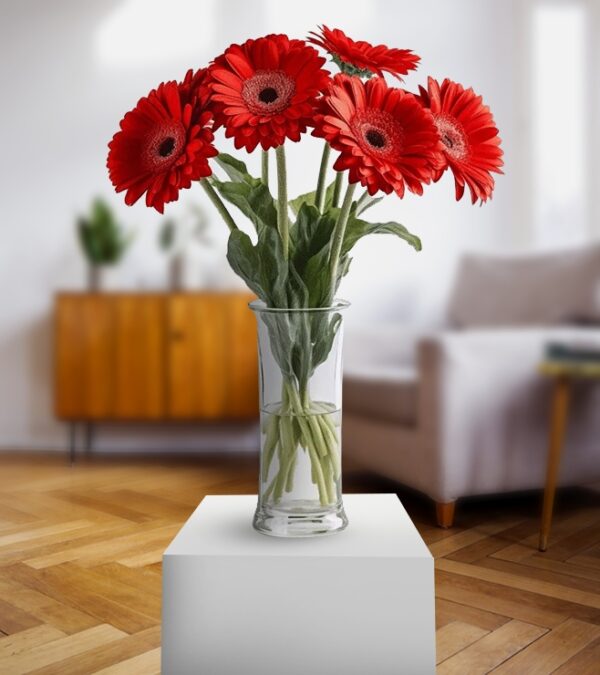 Red Gerberas