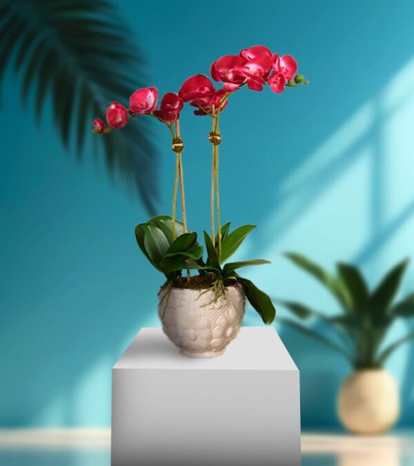 Light Red Orchid Petals With Vase