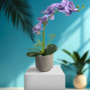 Light Purple Orchid Petals With Vase