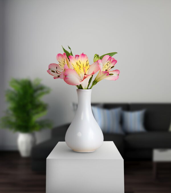 Pink Alstroemerias