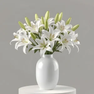 Appreciation White Lilies