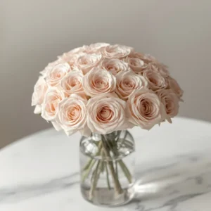 Baby Pink Roses