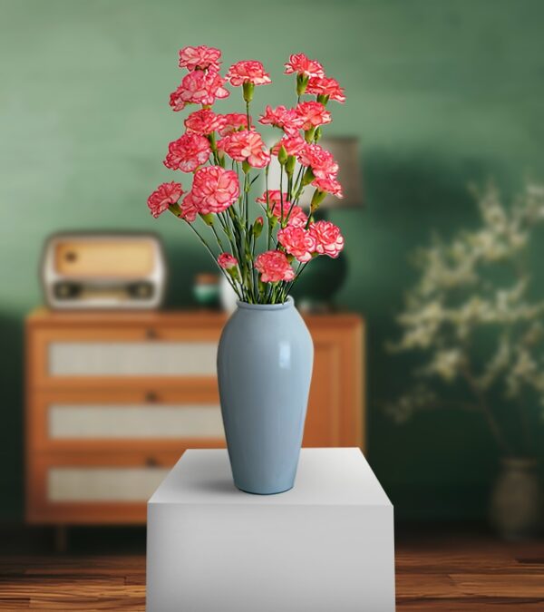 Light Lovely Red Carnation