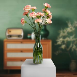 Lovely Peach Carnation