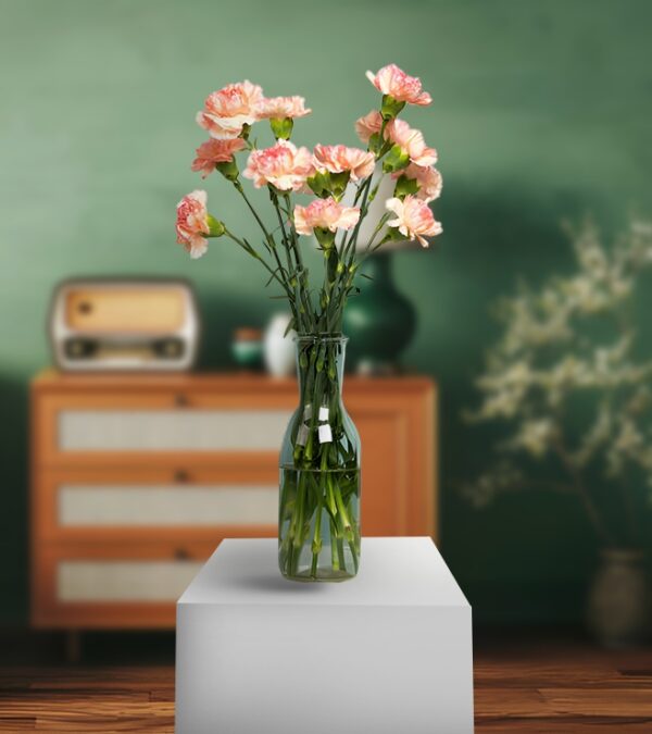 Lovely Peach Carnation