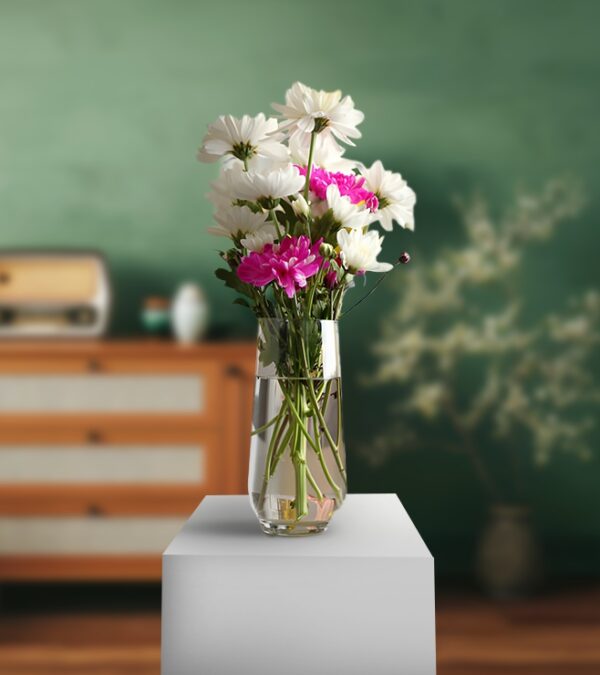 White and Pink Chrysanthemum