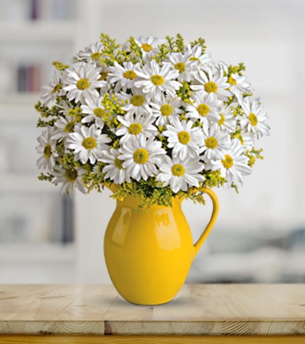 Daisies