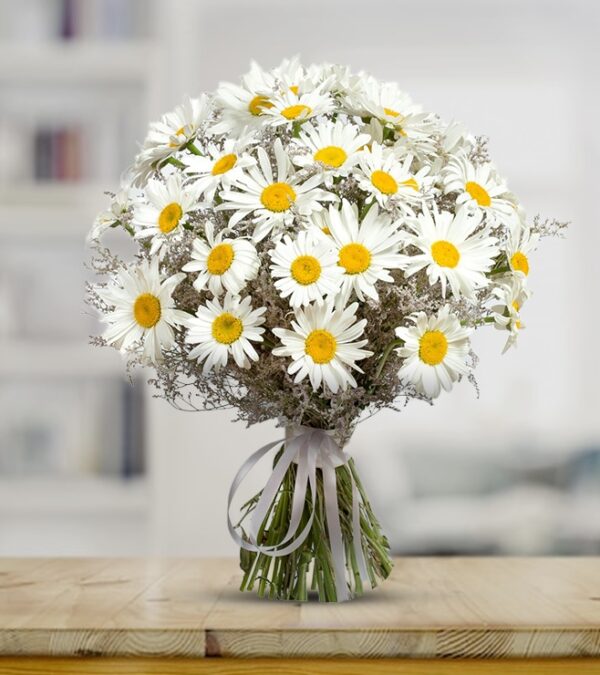 Daisies