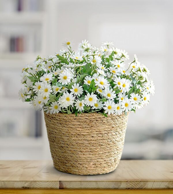 White Daisies Basket
