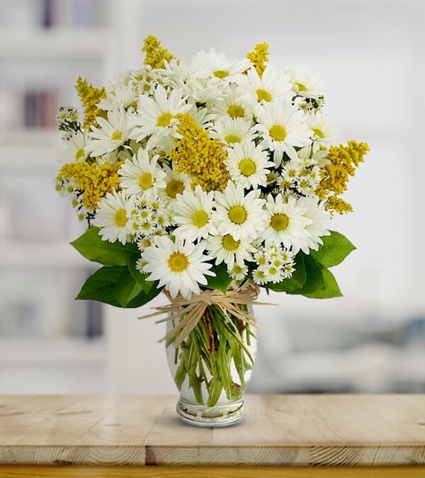 Luxury White Daisies