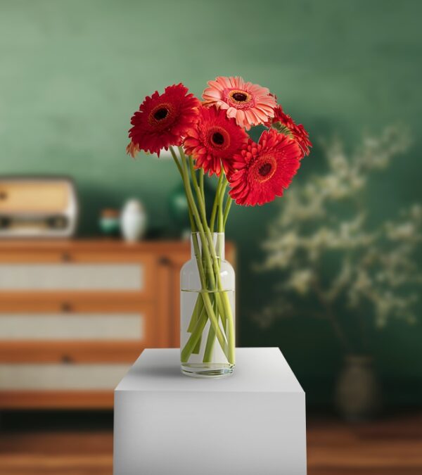 Glorious Red Gerberas