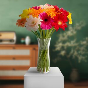Mix Red Gerberas