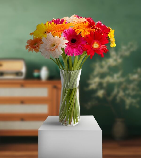 Mix Red Gerberas