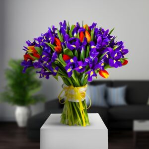 Joy of two Iris - Red and Purple