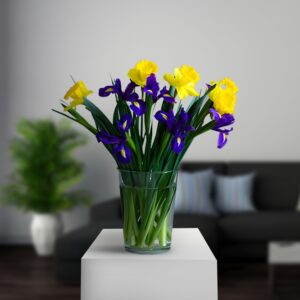 Fresh Aqua Iris