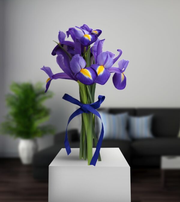 Iris Surprise of Bunch