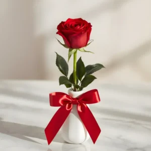 Only For You Rose Gift