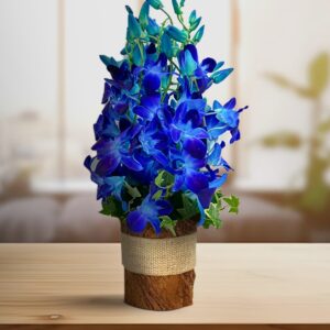 Deep Blue Orchid With Vase