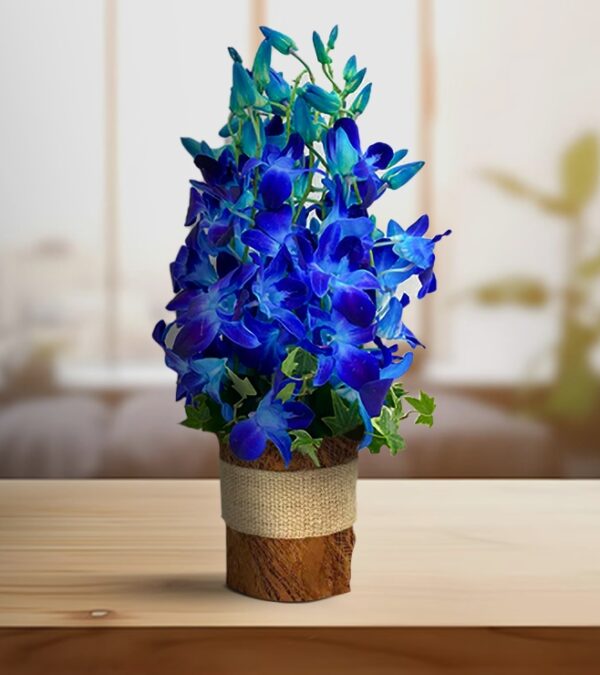 Deep Blue Orchid With Vase