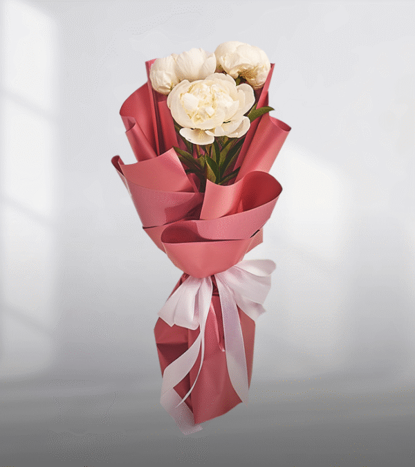 Pearl White Peonies