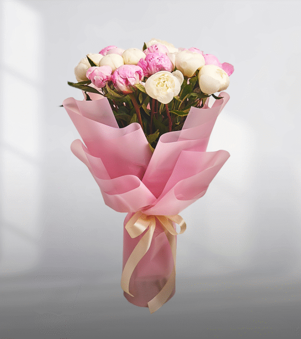 Soft Blushing Peonies