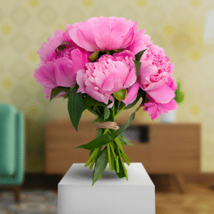 Pink Airy Peonies