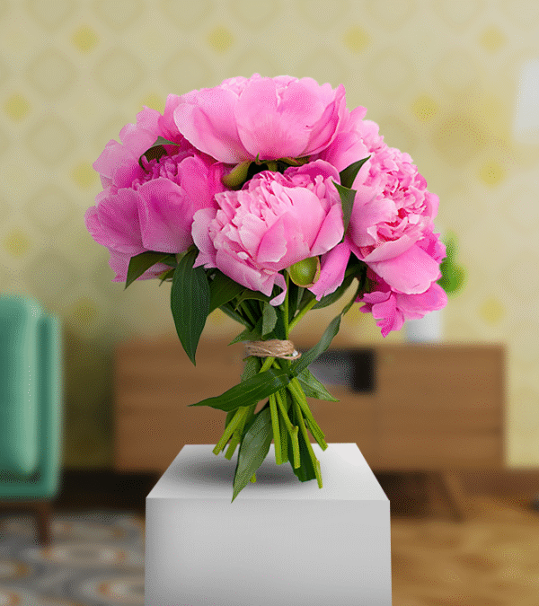 Pink Airy Peonies