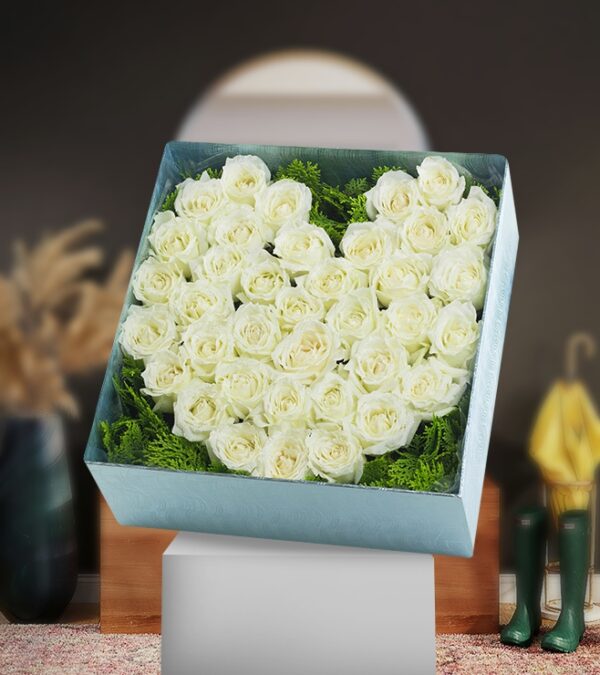 Flower Boxes