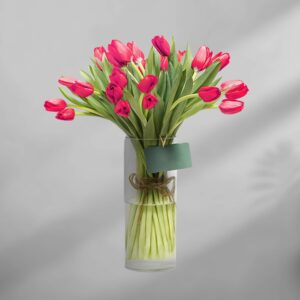 Pure Red Tulips