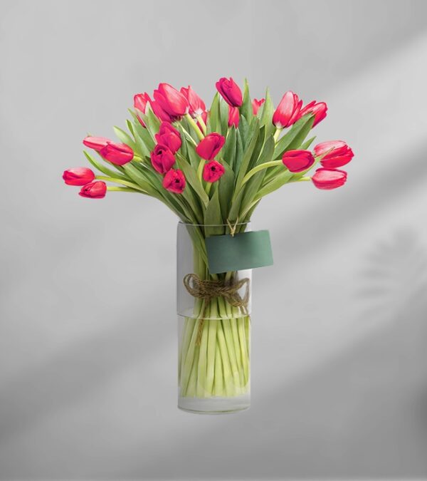 Pure Red Tulips