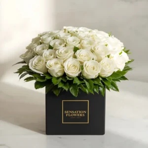 White Vibrant Roses