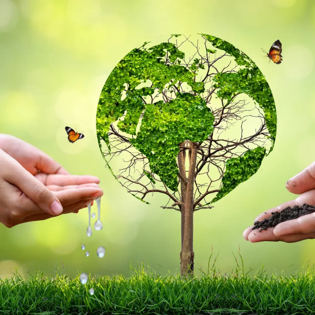 UAE environment