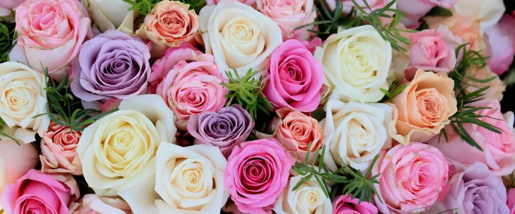 Roses Language