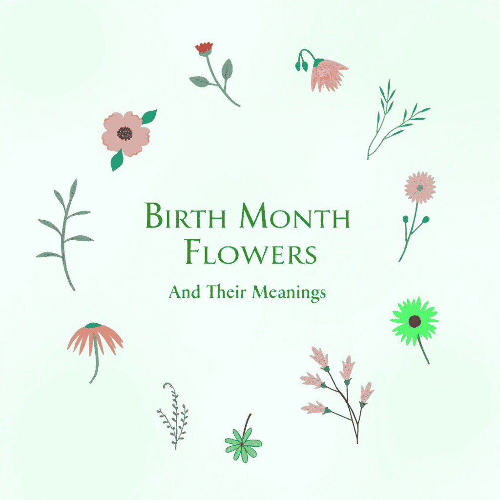 birth month flowers and meanings