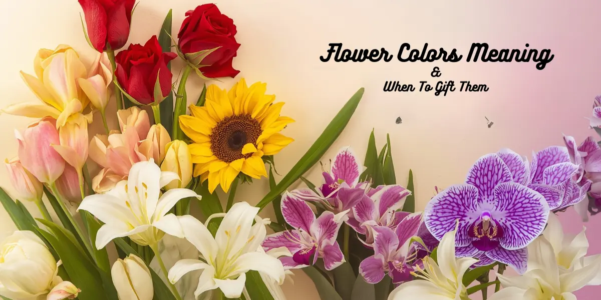 Flower Colors Meaning