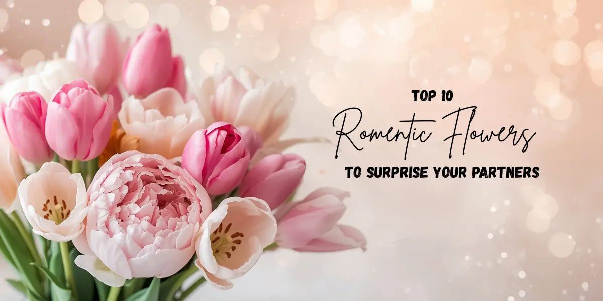 Top 10 Romantic Flowers
