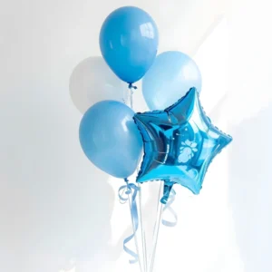 Sky Blue Balloon Set